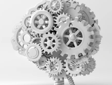 Differentiating Cognitive Abilities: A Factor Analysis of JCCES and GAMA Subtests