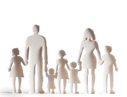 The Impact of Family Size on Cognitive and Non-Cognitive Development