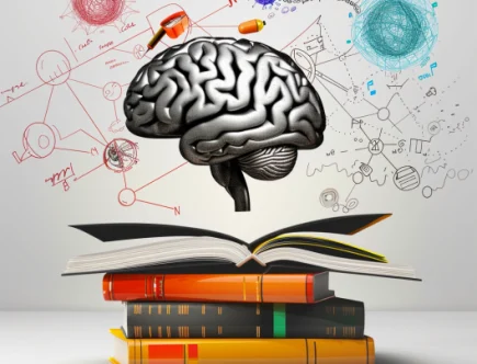 The Relationship Between Education and Intelligence