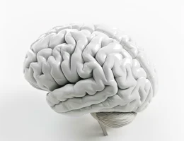 Cognitive Abilities, Not Math Skills, Predict Wealth for Preterm Adults
