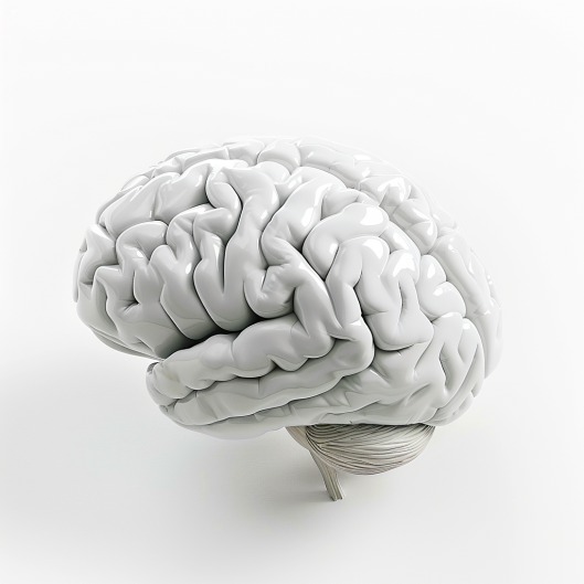 Cognitive Abilities, Not Math Skills, Predict Wealth for Preterm Adults