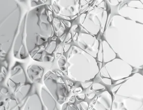 White Matter Microstructure and Cognitive Performance