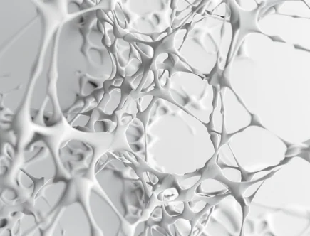 White Matter Microstructure and Cognitive Performance