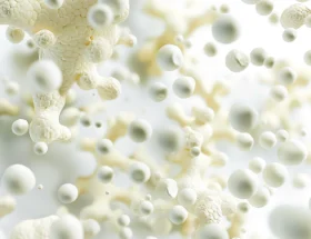 Exploring the Impact of Early-Life Penicillin Exposure on Gut Microbiome and Brain Gene Expression