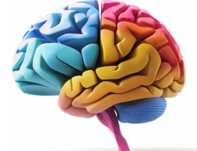 Scientific Development and Applications of the Wechsler Adult Intelligence Scale